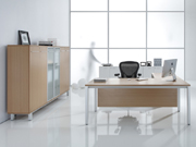 Fashion Executive Desk